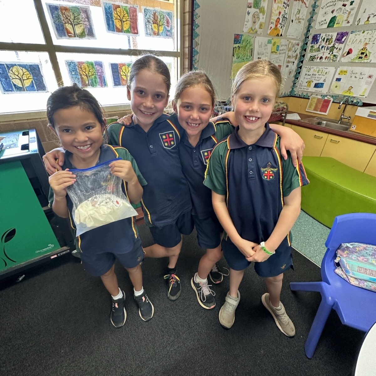 Stage 1 Science | Macquarie Anglican Grammar School