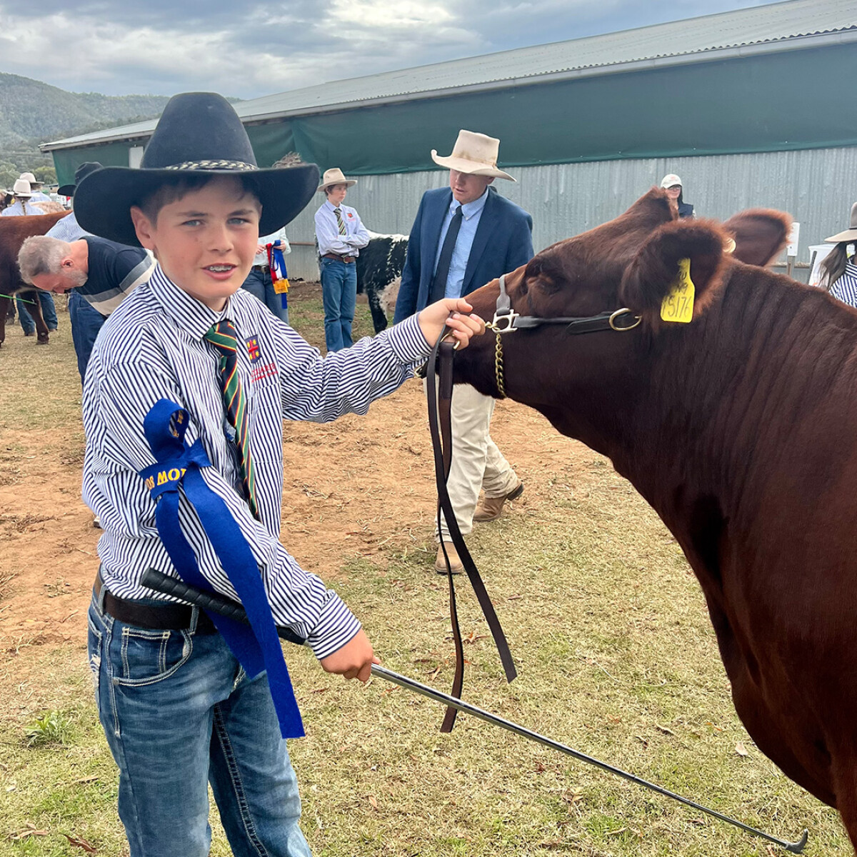 A Great Wellington Show for our Livestock Show Team | Macquarie ...